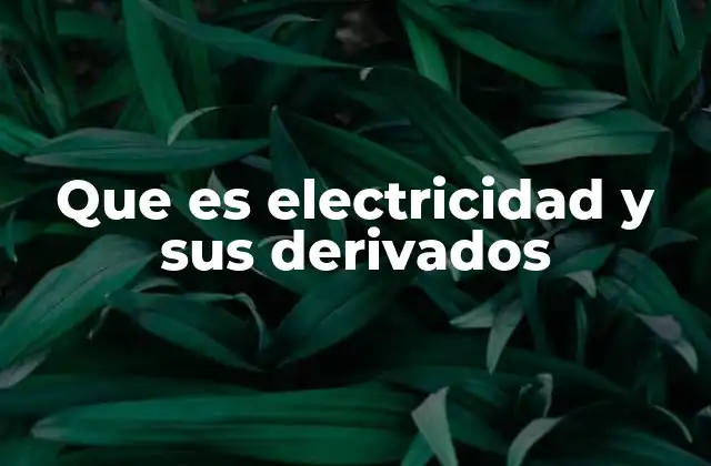 Que es Electricidad y Sus Derivados