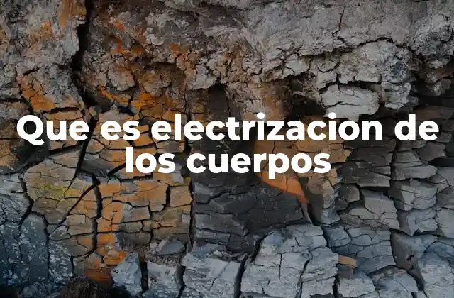 Que es Electrizacion de los Cuerpos