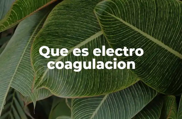 Que es Electro Coagulacion