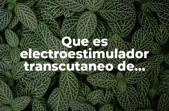 Que es Electroestimulador Transcutaneo de Funcion Neuromuscular