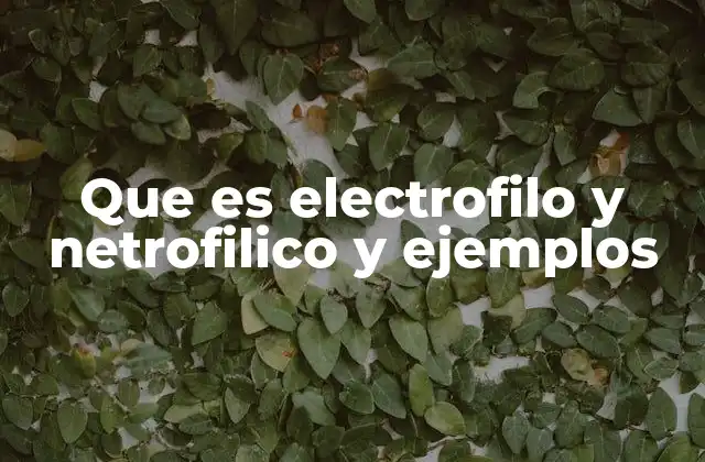 Que es Electrofilo y Netrofilico y Ejemplos