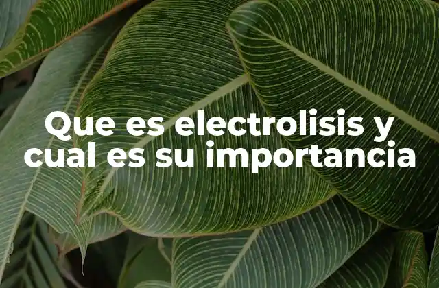 El proceso de conversión energética detrás de la electrolisis