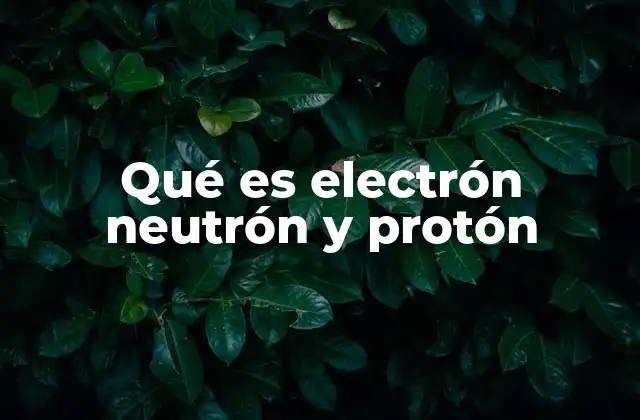Qué es Electrón Neutrón y Protón 2 La base de la estructura atómica