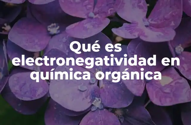 Qué es Electronegatividad en Química Orgánica