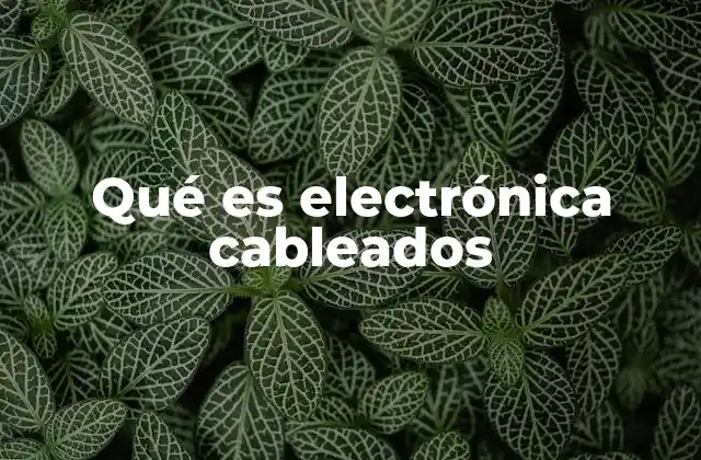 Qué es Electrónica Cableados