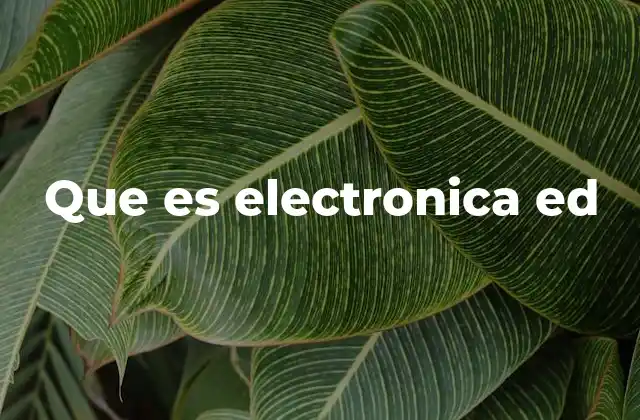 Que es Electronica Ed