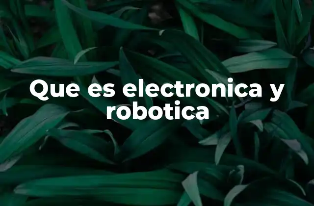 Que es Electronica y Robotica