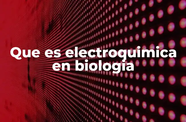 Que es Electroquimica en Biologia