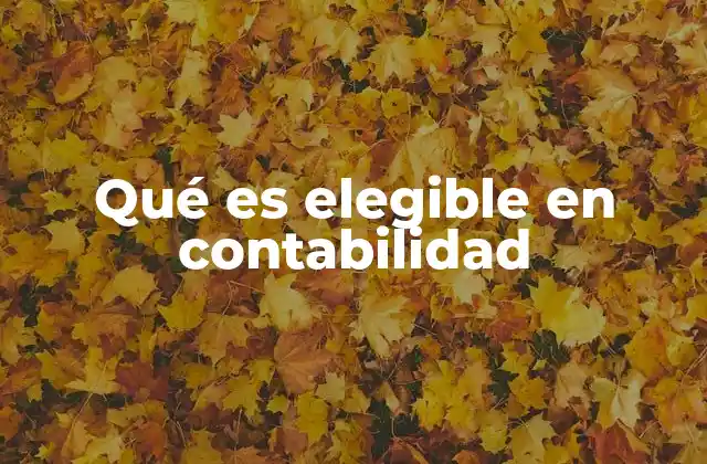 La importancia de los elementos elegibles en la gestión contable