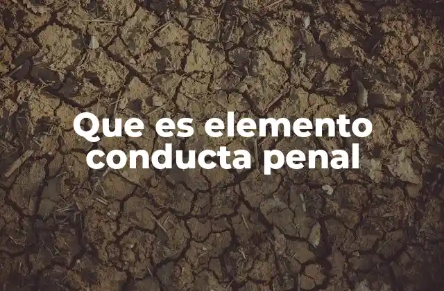 Que es Elemento Conducta Penal