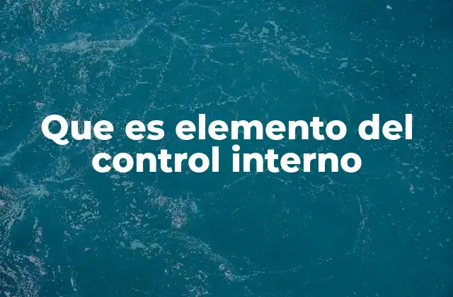 Que es Elemento Del Control Interno