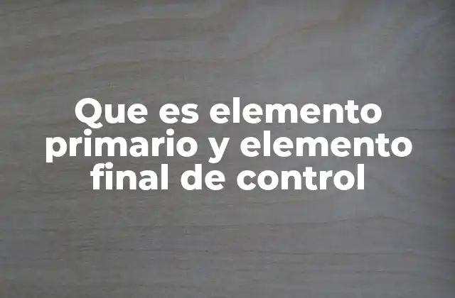 Que es Elemento Primario y Elemento Final de Control