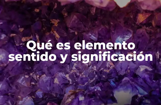 Qué es Elemento Sentido y Significación