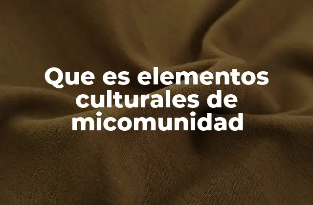 Que es Elementos Culturales de Micomunidad