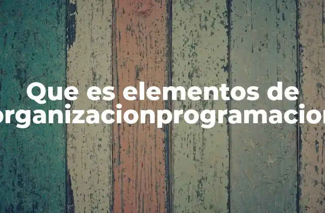 Que es Elementos de Organizacionprogramacion