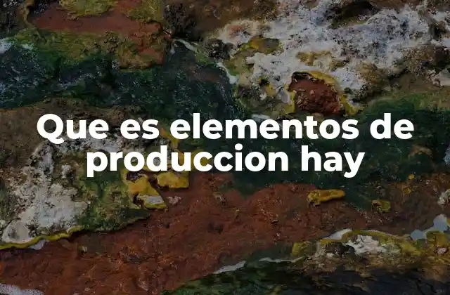 Que es Elementos de Produccion Hay
