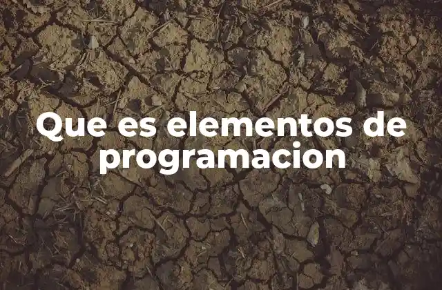 Que es Elementos de Programacion