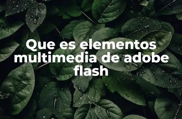Que es Elementos Multimedia de Adobe Flash
