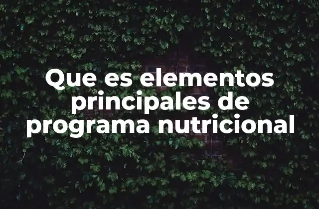 Que es Elementos Principales de Programa Nutricional