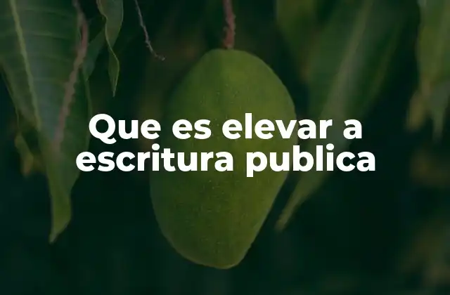 Que es Elevar a Escritura Publica