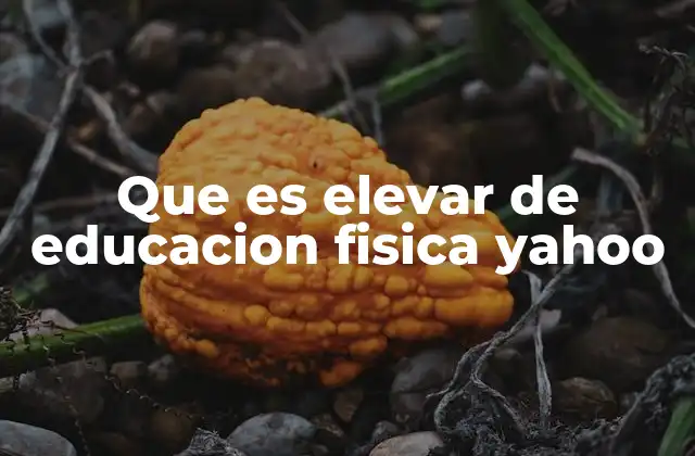 Que es Elevar de Educacion Fisica Yahoo 2 La importancia del vocabulario en educación física
