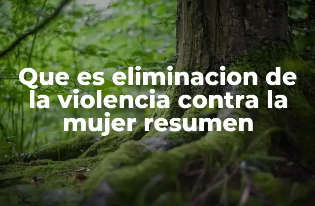La lucha contra la violencia: un reto global y local