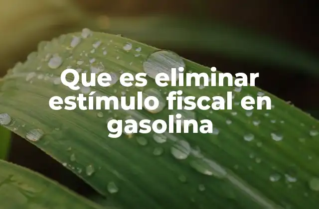 Que es Eliminar Estímulo Fiscal en Gasolina