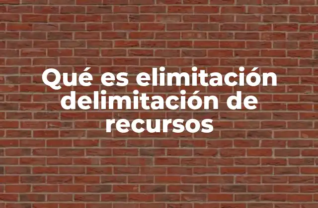 Qué es Elimitación Delimitación de Recursos