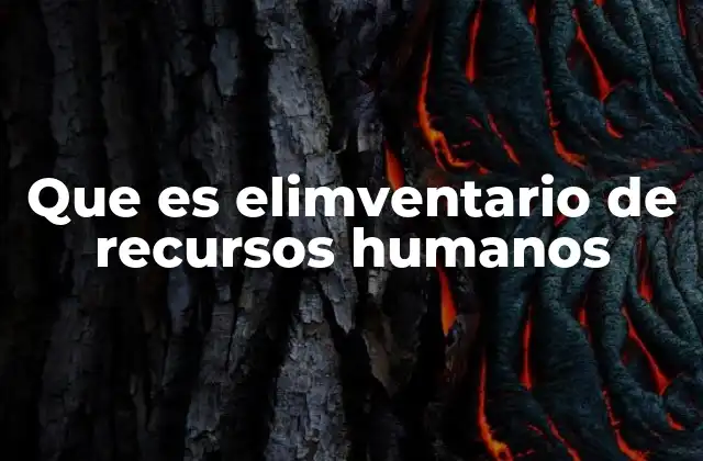 La importancia de organizar el capital humano