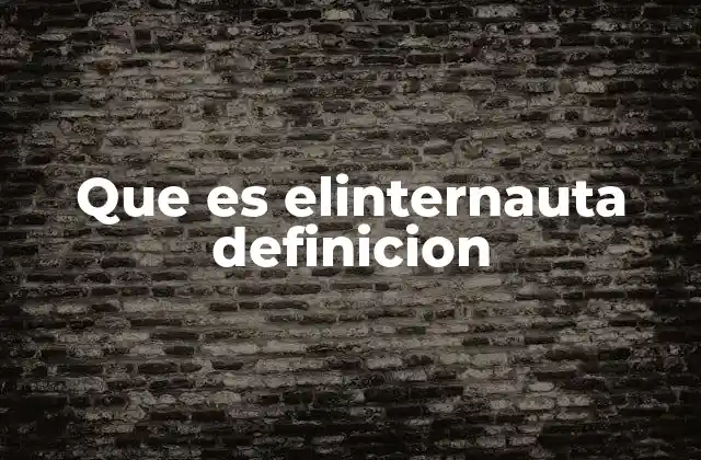 Que es Elinternauta Definicion 2 El internauta como parte de la cultura digital