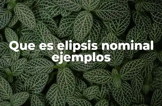 Que es Elipsis Nominal Ejemplos