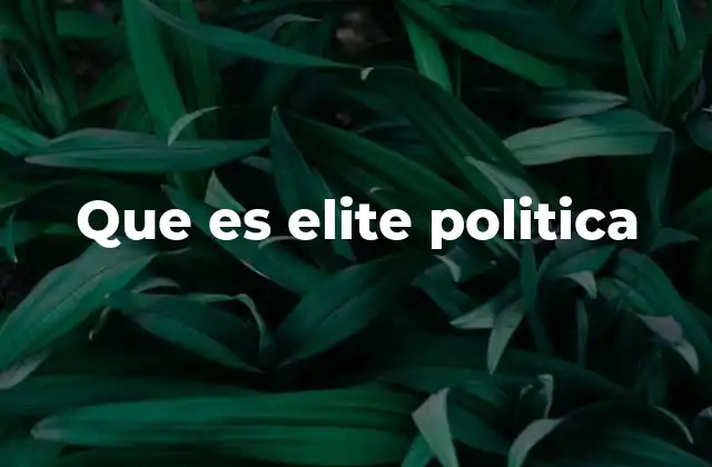 Que es Elite Politica