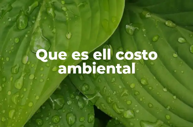 Que es Ell Costo Ambiental 2 La importancia del costo ambiental en la toma de decisiones
