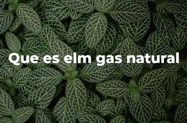 Que es Elm Gas Natural