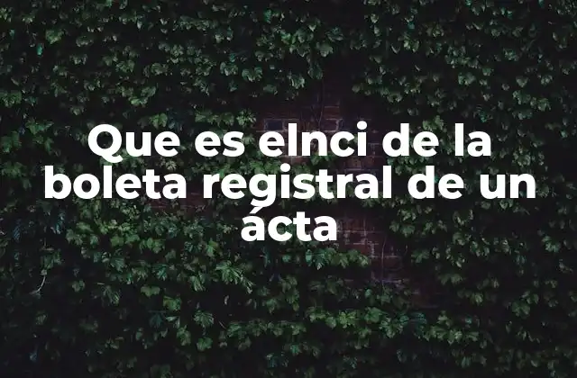 Que es Elnci de la Boleta Registral de un Ácta