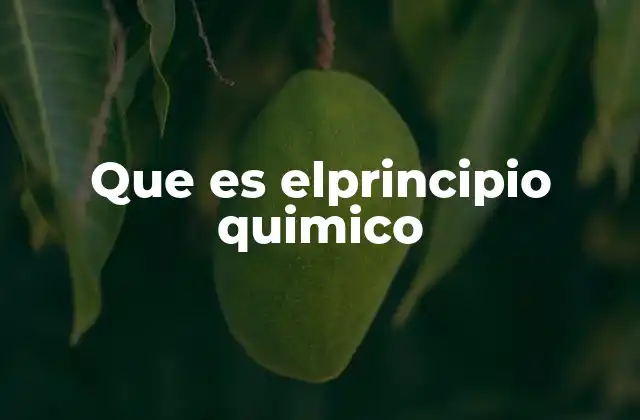 Que es Elprincipio Quimico