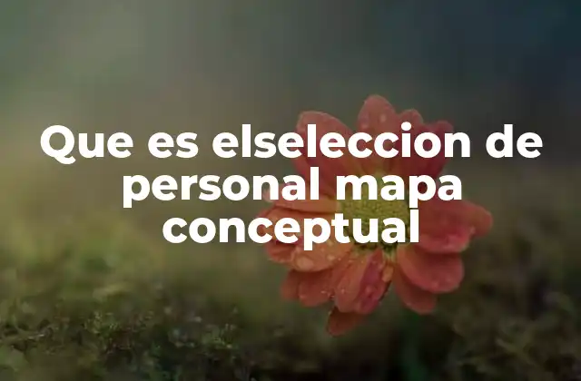 Que es Elseleccion de Personal Mapa Conceptual