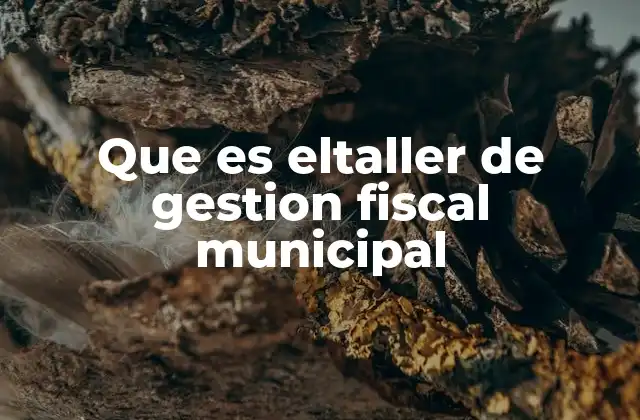 Que es Eltaller de Gestion Fiscal Municipal