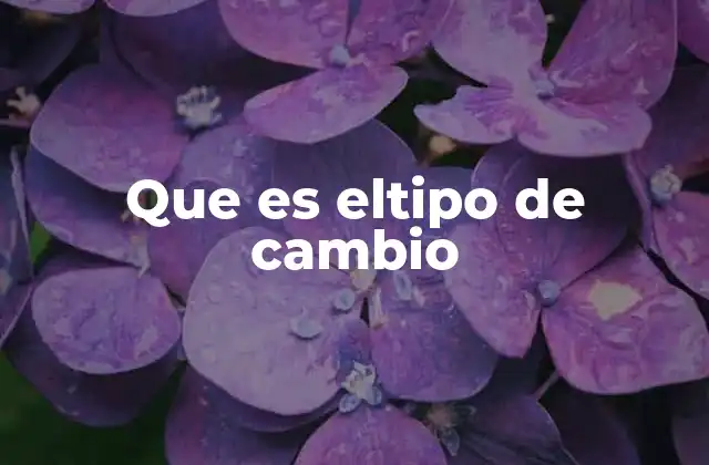 Factores que influyen en la formación del tipo de cambio