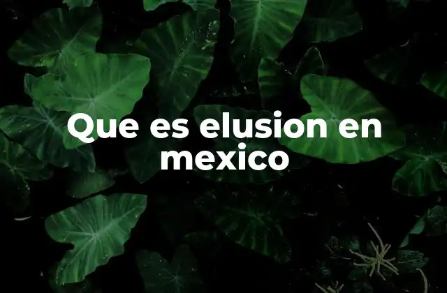 El impacto de la elusión en la economía mexicana