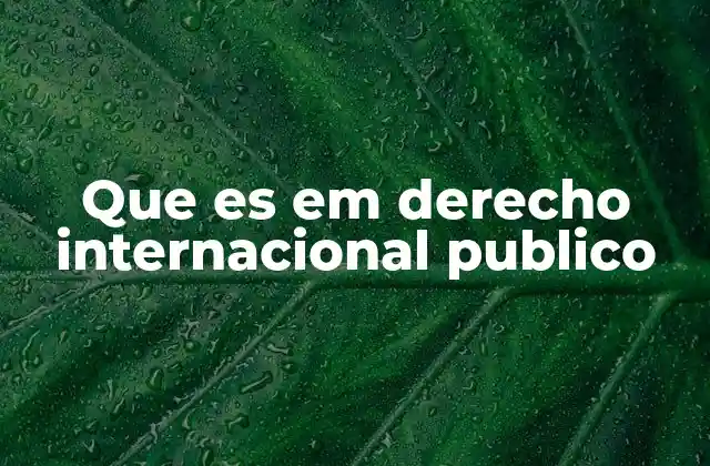 Que es Em Derecho Internacional Publico