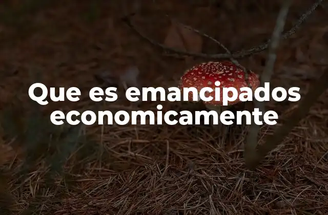 Que es Emancipados Economicamente