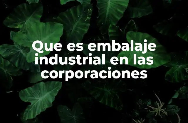 Que es Embalaje Industrial en las Corporaciones