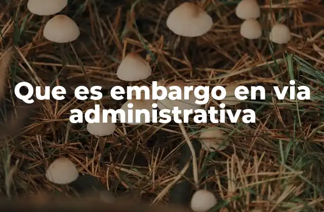 Que es Embargo en Via Administrativa