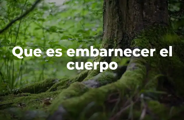 Que es Embarnecer el Cuerpo