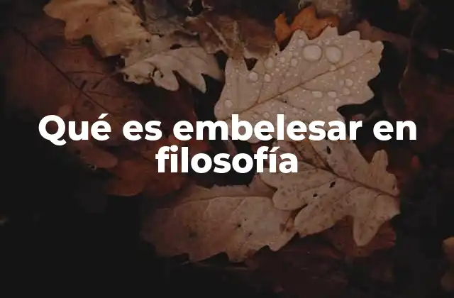 Qué es Embelesar en Filosofía 2 El embeleso como puerta a lo trascendental