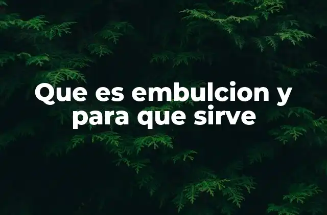 Que es Embulcion y para que Sirve
