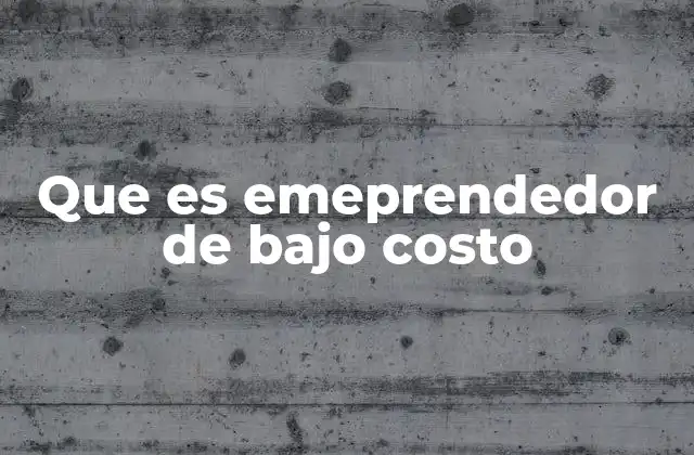 Que es Emeprendedor de bajo Costo 2 Características de los emprendedores que operan con recursos limitados