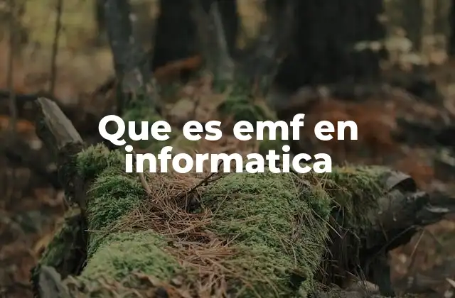 Que es Emf en Informatica