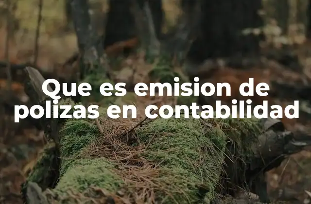 Que es Emision de Polizas en Contabilidad